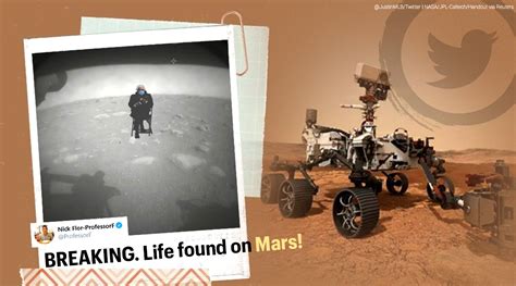 Best Perseverance Memes About Mars Rover Landing .